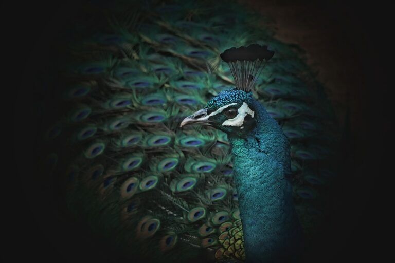 Handelsminister Lutnick Tarifen kommen