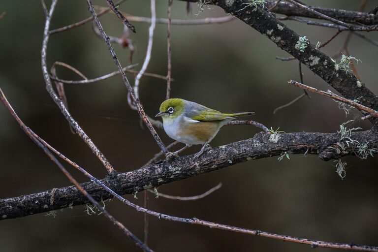 Aktienmarkt heute: Live -Updates